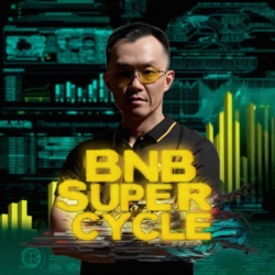 BSC Layer