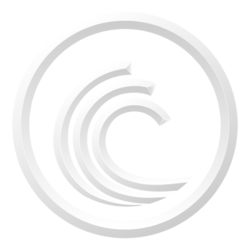 BitTorrent