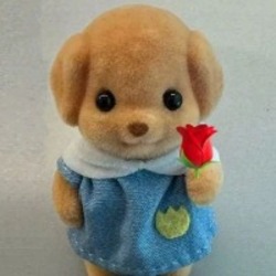 Milo Inu