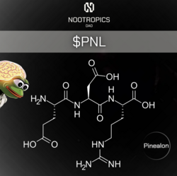 TruePNL